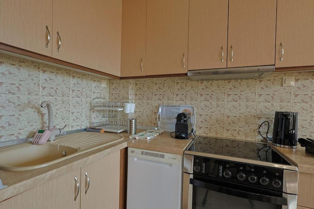 Zeusplace Leptokarya Seaside Apartment Extérieur photo