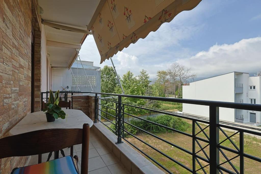 Zeusplace Leptokarya Seaside Apartment Extérieur photo