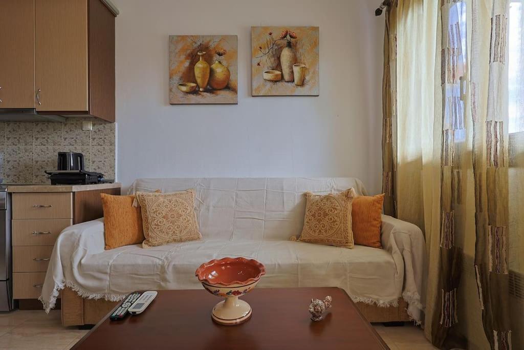 Zeusplace Leptokarya Seaside Apartment Extérieur photo
